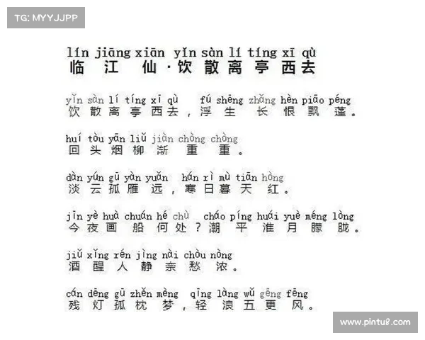 雁飘翎影映秋水,孤雁翱翔心随梦远 雁飘翎影映秋水,孤雁翱翔心随梦远